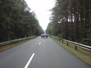 RTF Alpe d'Seevetal  242